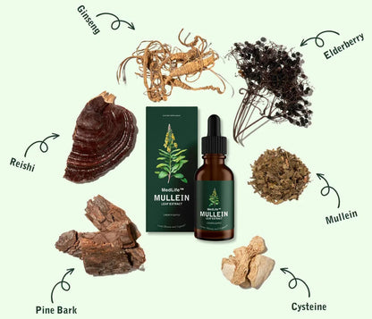 Velora Mullein Leaf Extract